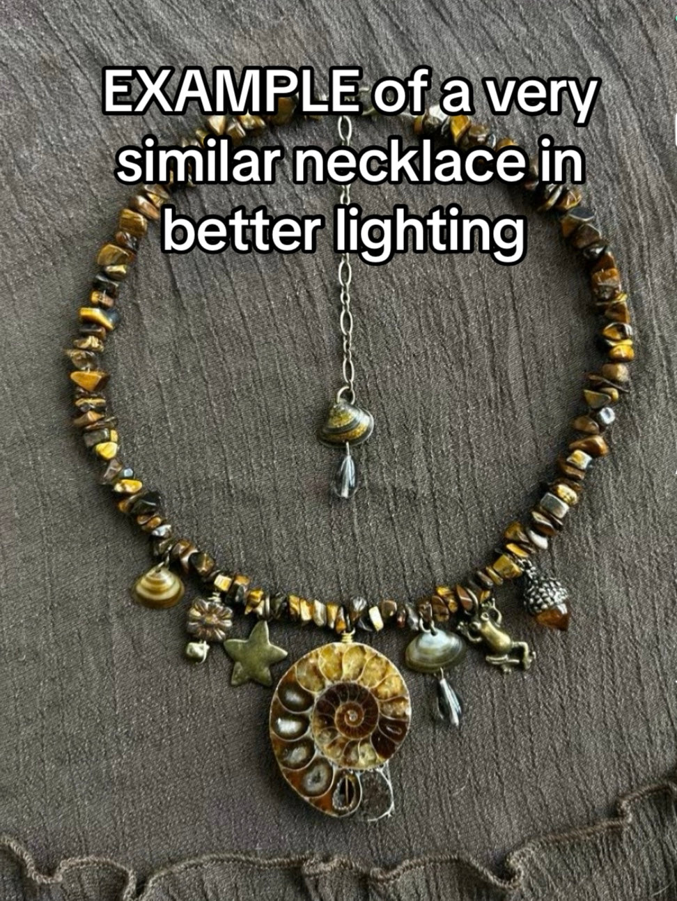 Tigers Eye Ammonite Charm Necklace (1 of 1)