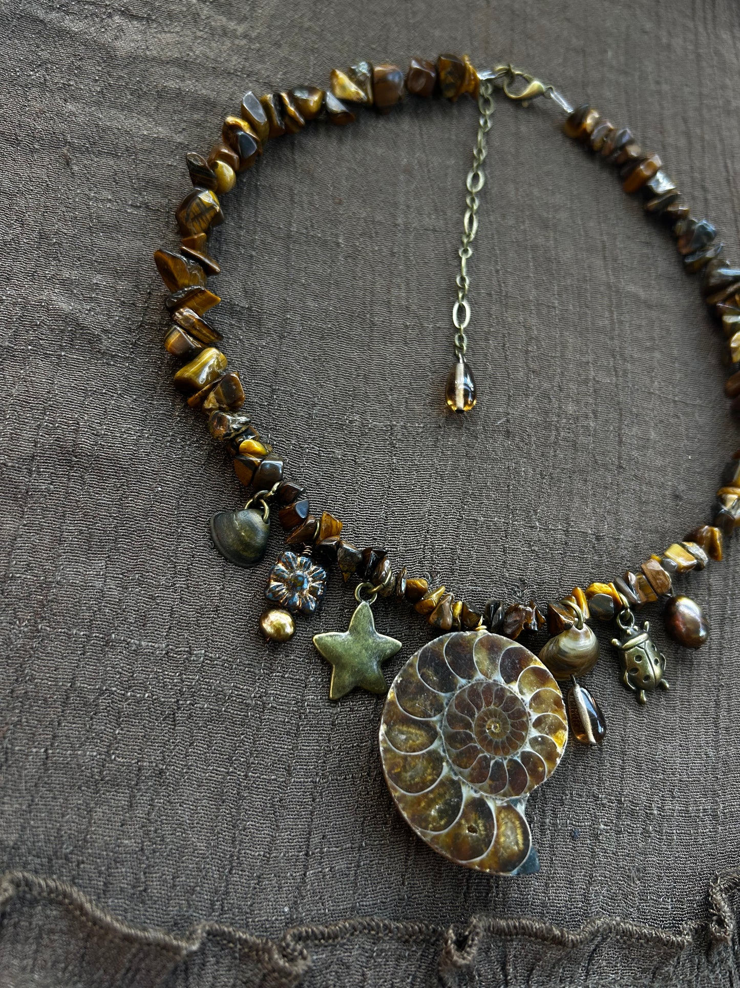 Chunky Tigers Eye Ammonite Choker
