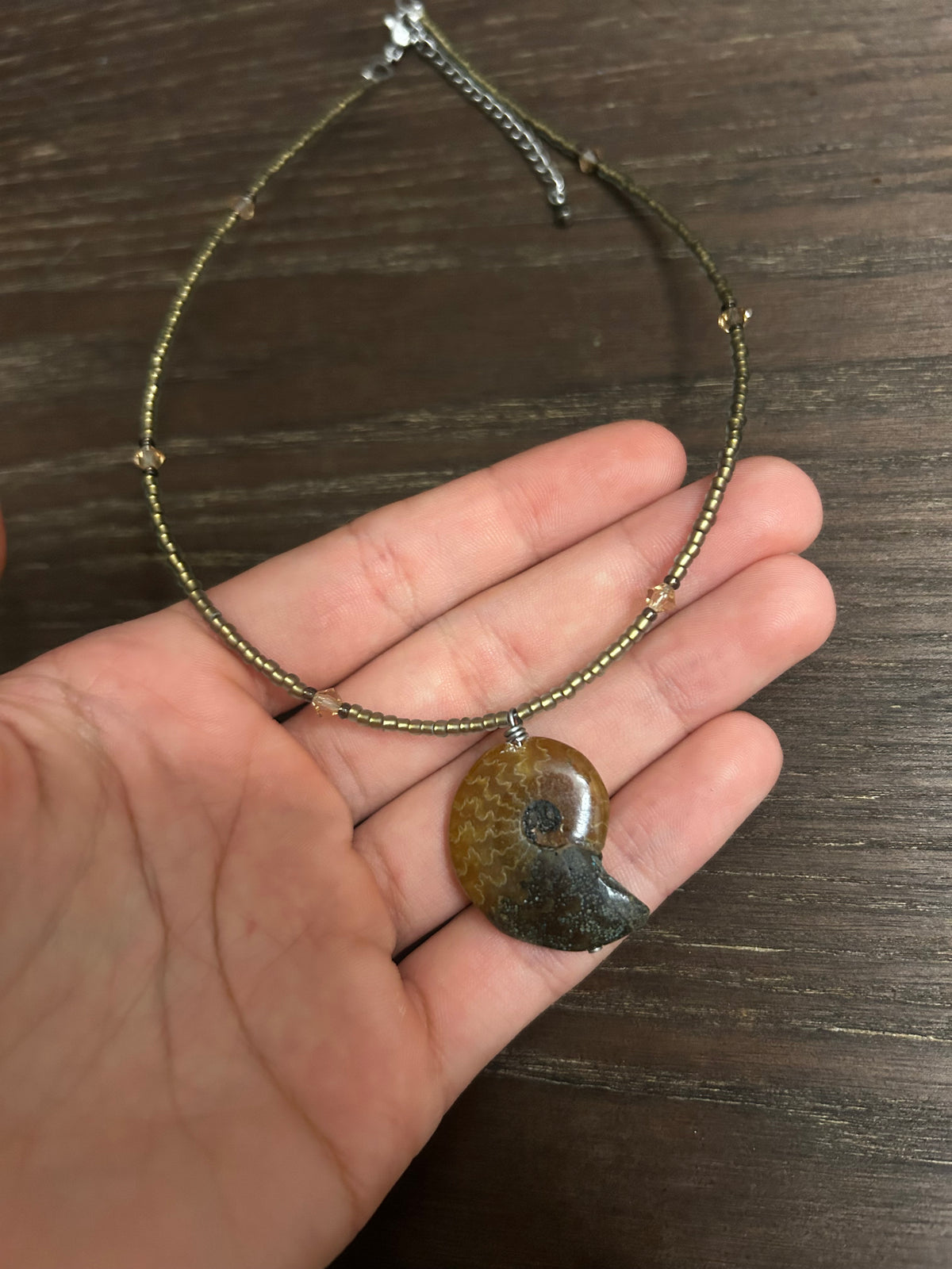 Ammonite Choker