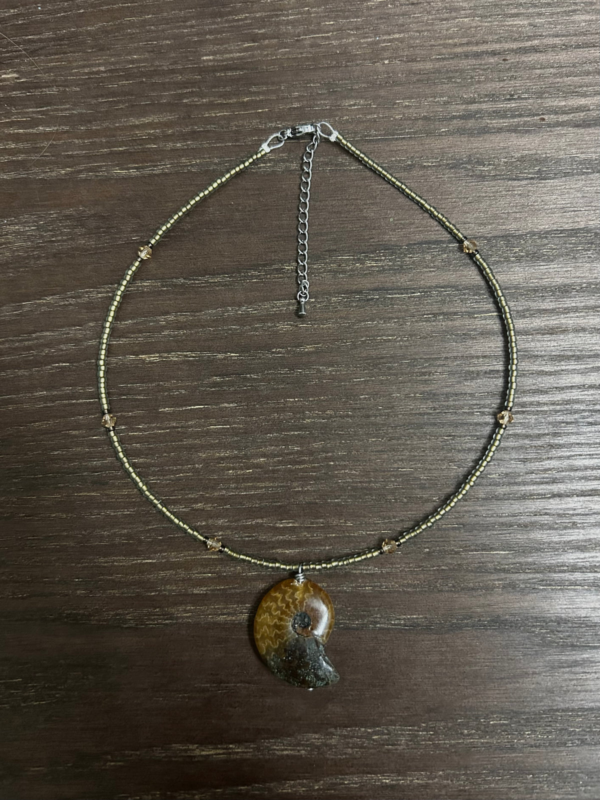 Ammonite Choker
