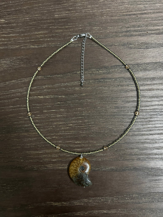 Ammonite Choker