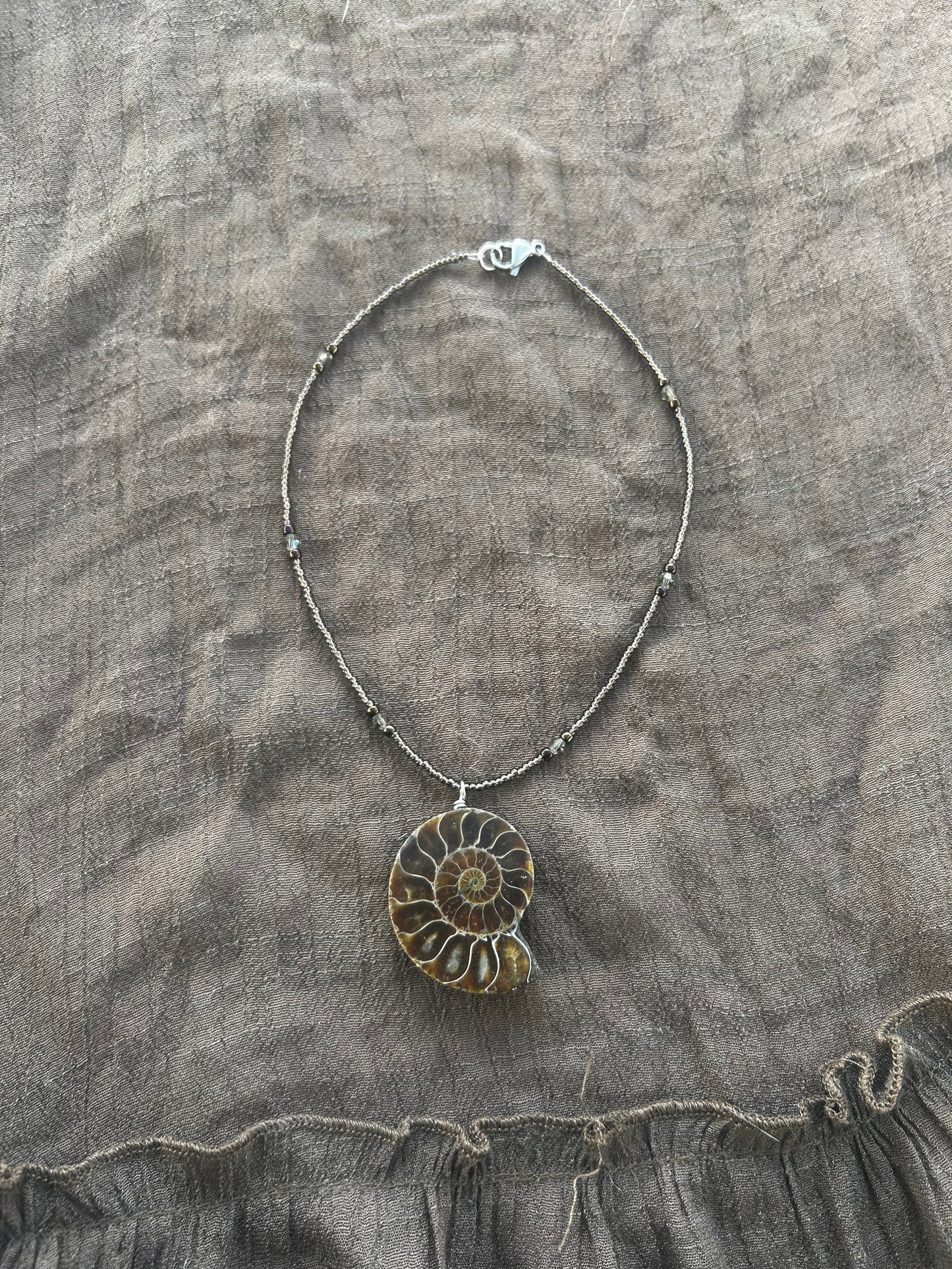 Ammonite Choker