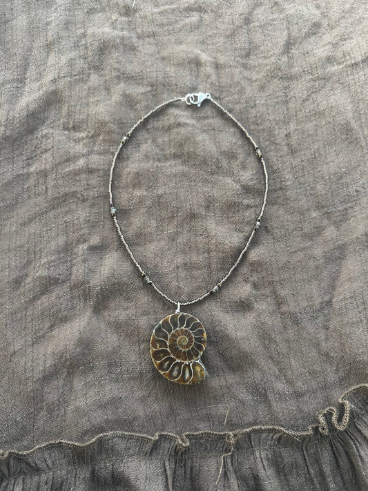 Ammonite Choker