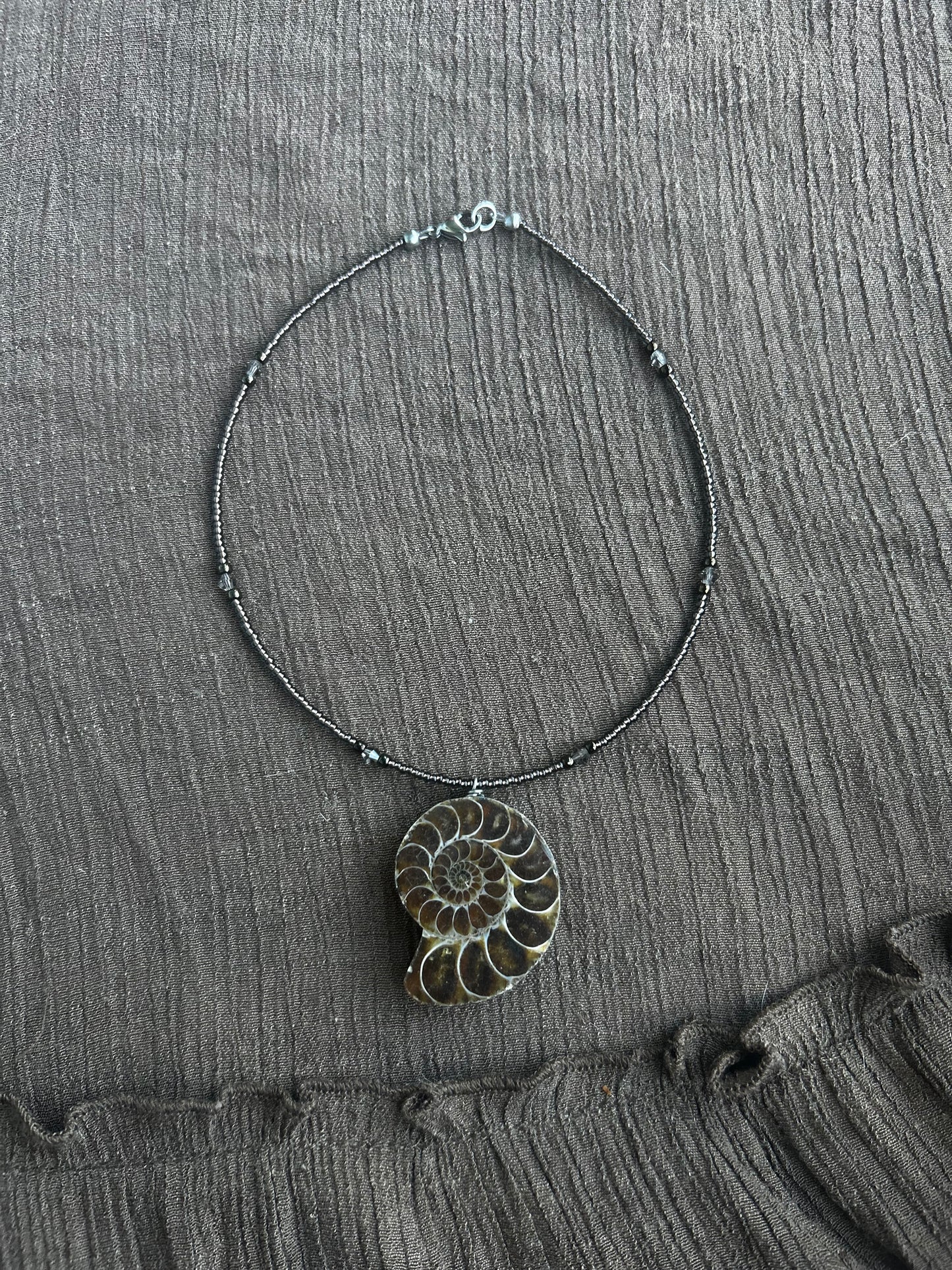Ammonite Choker (1 of 1)