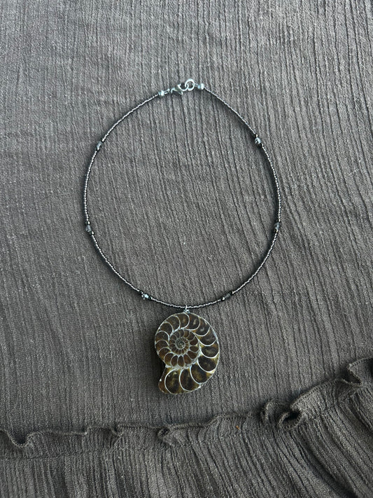 Ammonite Choker (1 of 1)