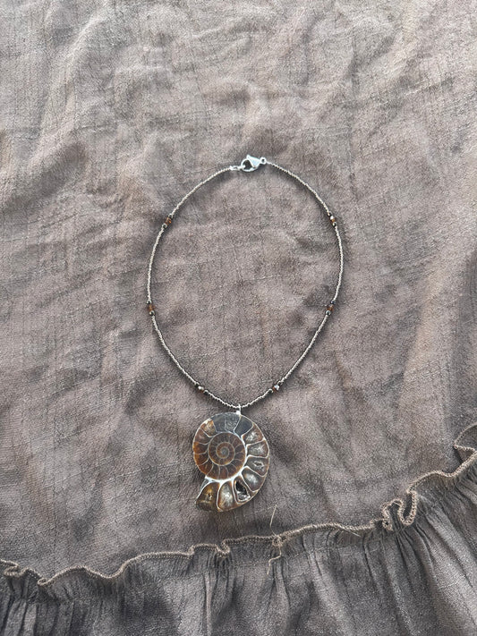 Ammonite Choker