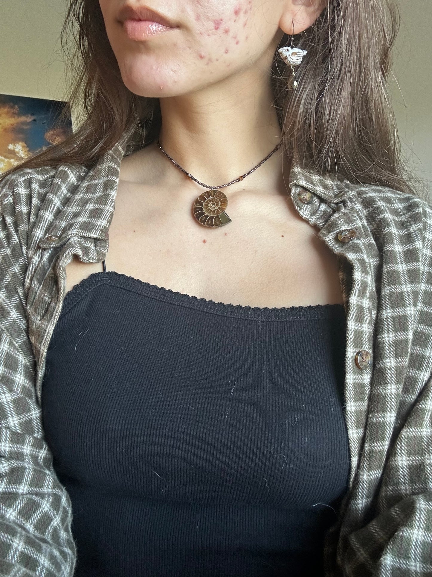 Ammonite Choker