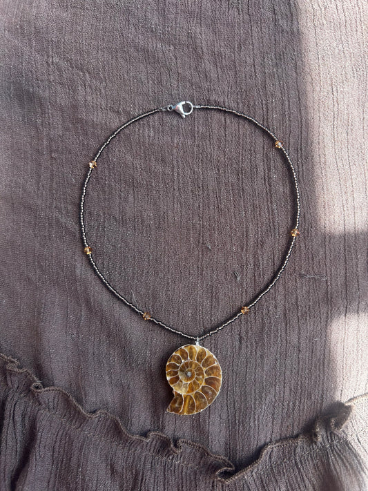 Ammonite Choker