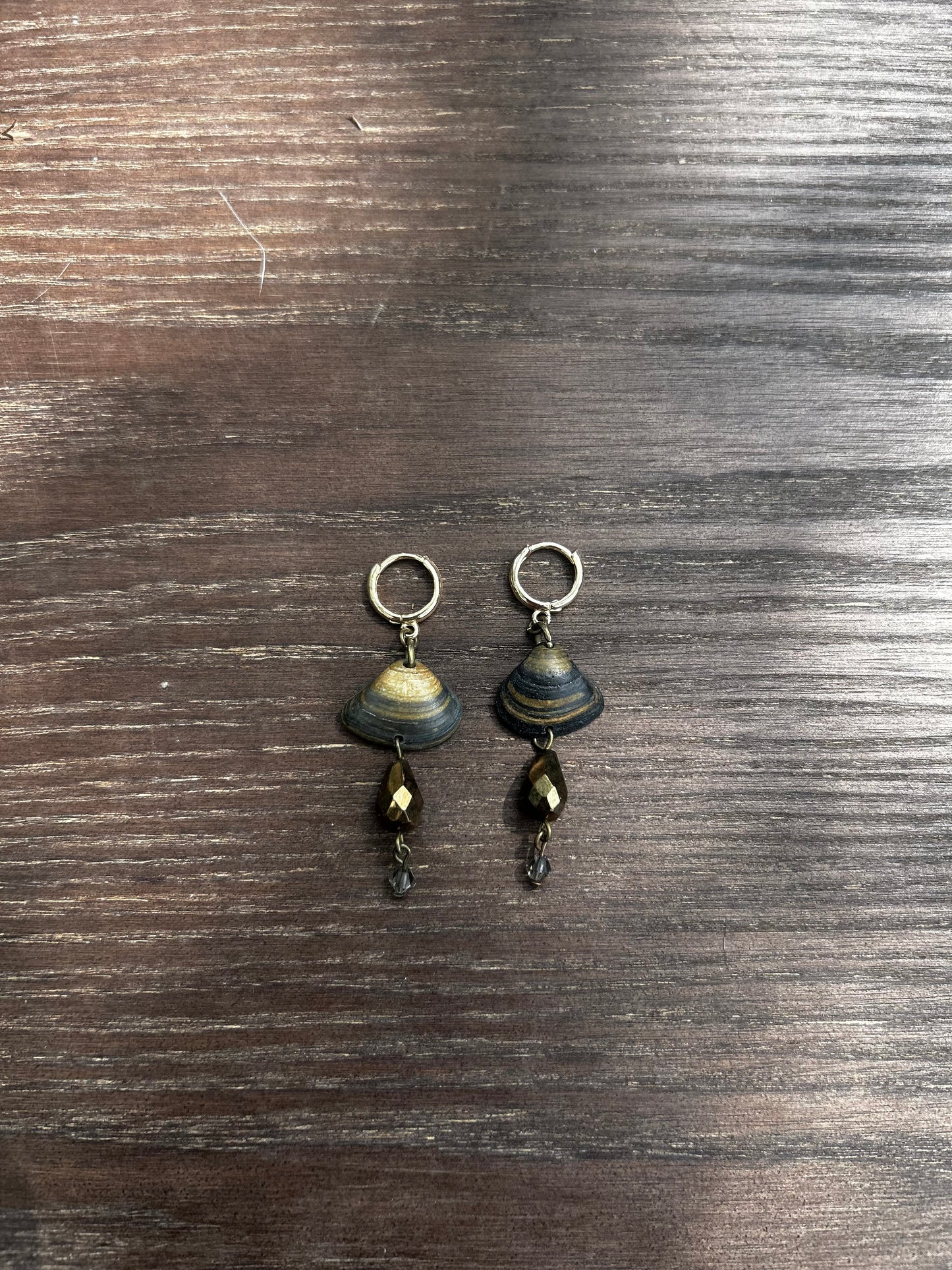 Seashell Drop Earrings (1 of 1)