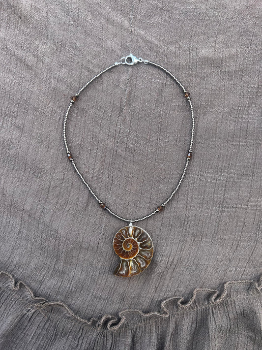 Ammonite Choker