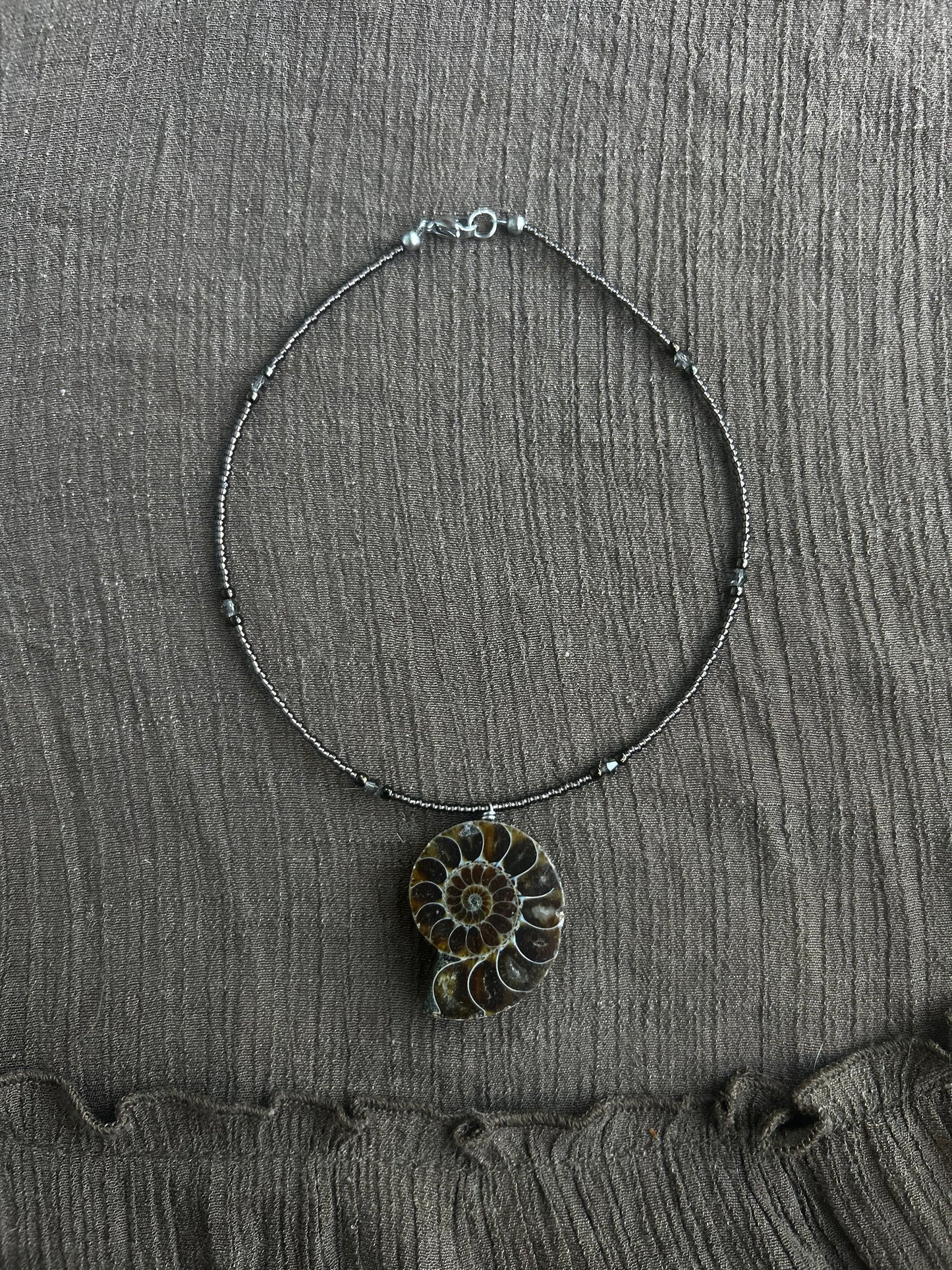 Ammonite Choker (1 of 1)