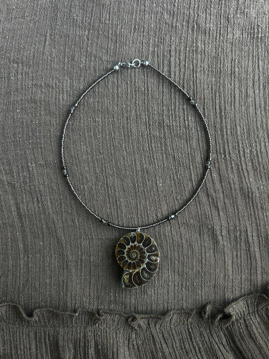 Ammonite Choker (1 of 1)