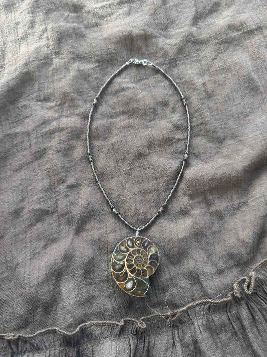 Ammonite Choker