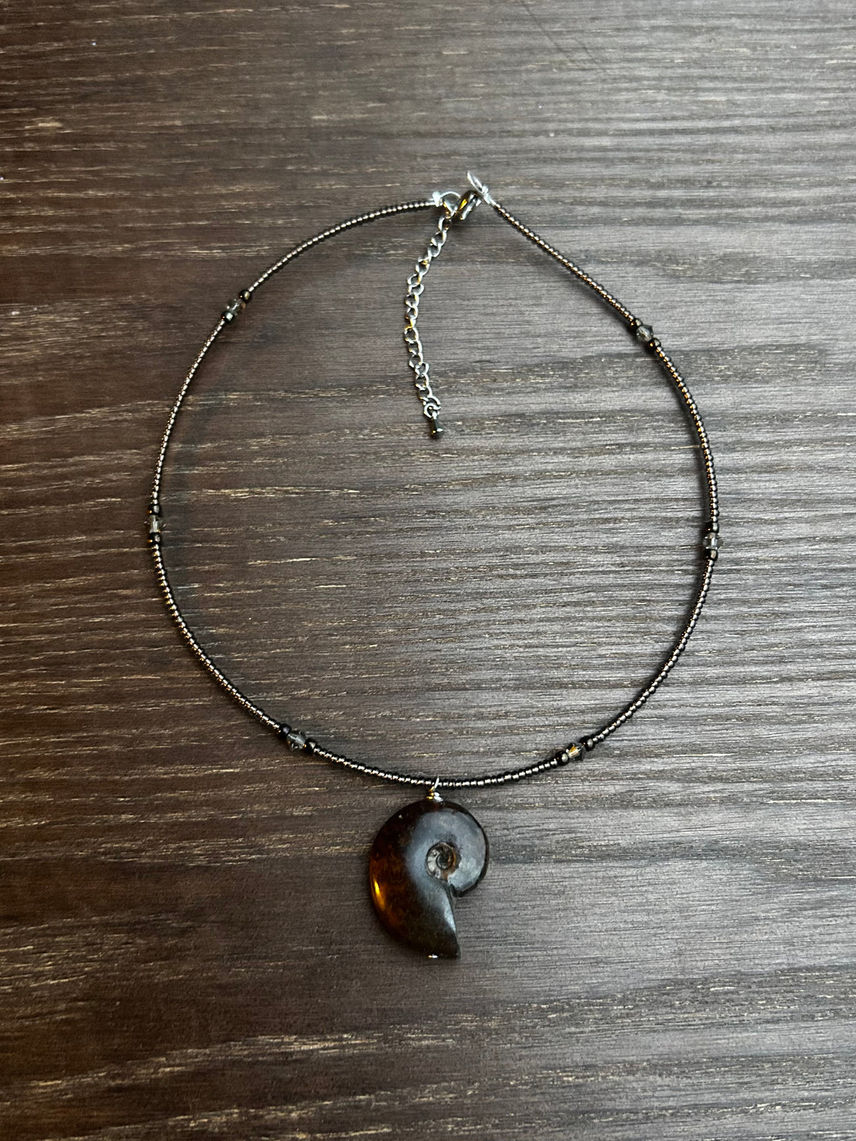 Ammonite Choker