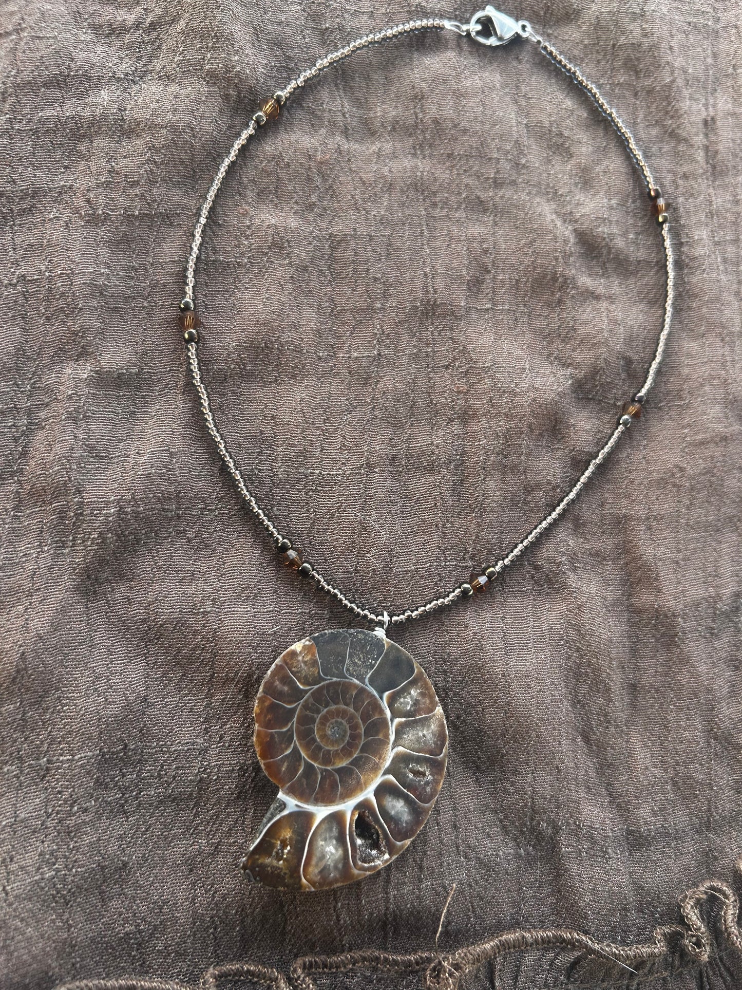 Ammonite Choker