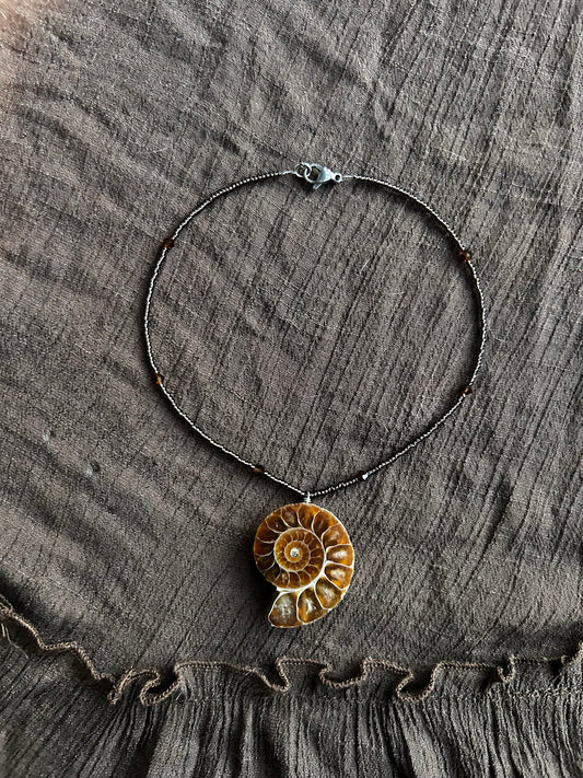 Ammonite Choker