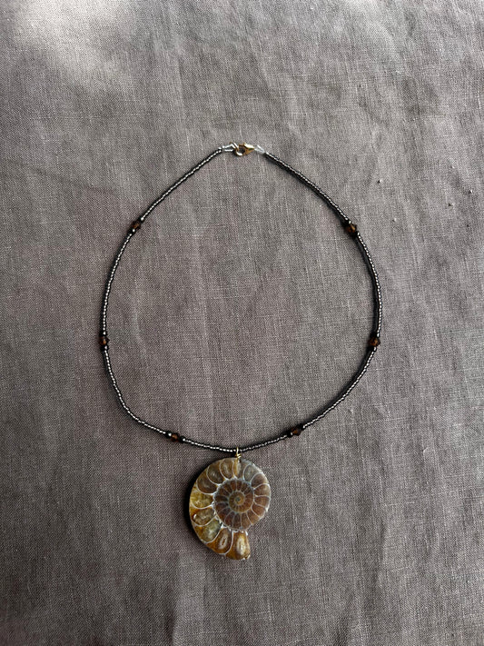 Ammonite Choker