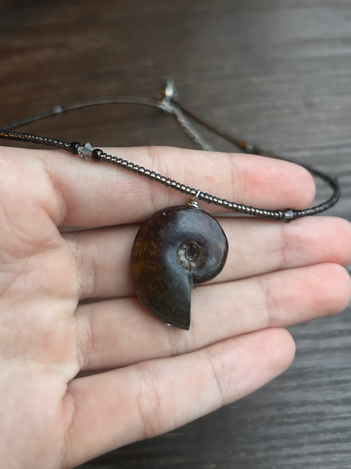 Ammonite Choker